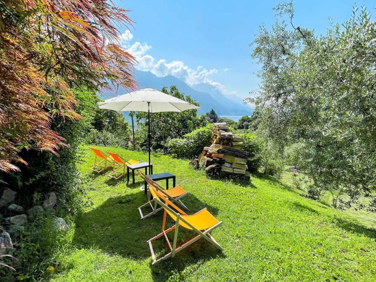 Breva Loft Tra Gli Ulivi Ed Il Lago Bellagio Bagian luar foto