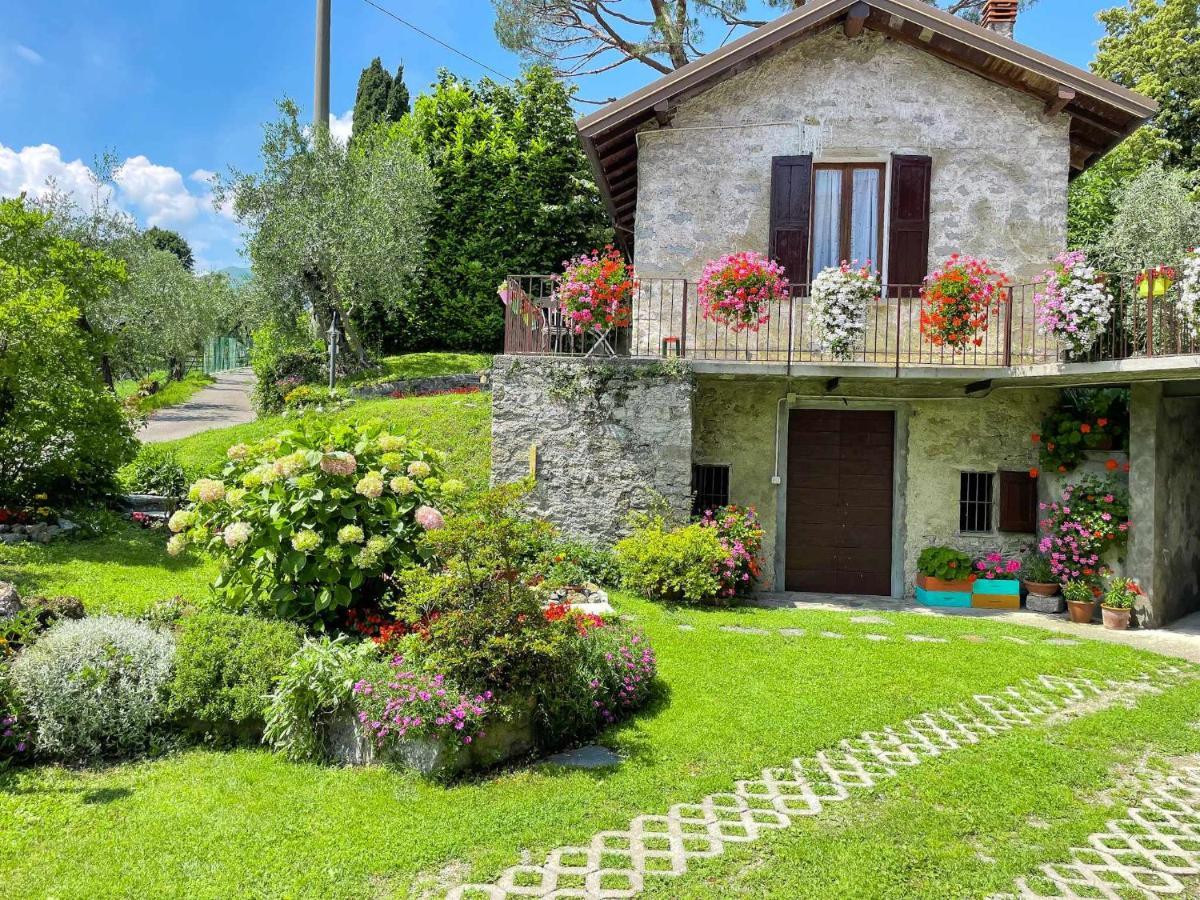 Breva Loft Tra Gli Ulivi Ed Il Lago Bellagio Bagian luar foto