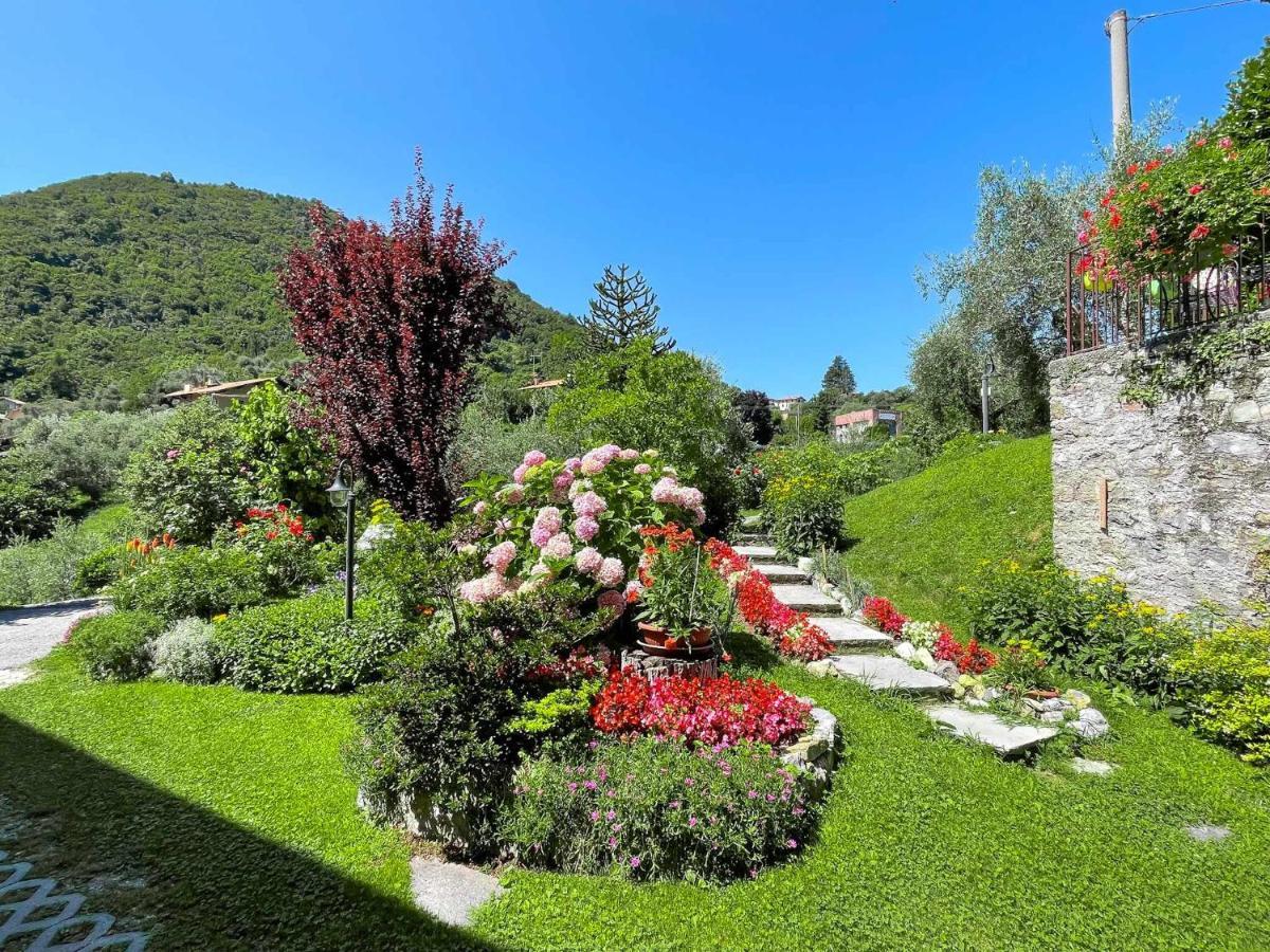 Breva Loft Tra Gli Ulivi Ed Il Lago Bellagio Bagian luar foto