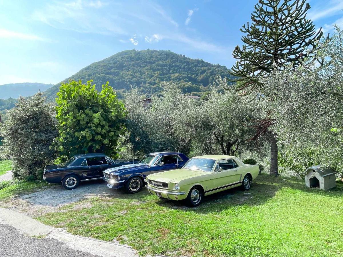 Breva Loft Tra Gli Ulivi Ed Il Lago Bellagio Bagian luar foto